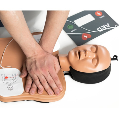 Ambu Man School - 725