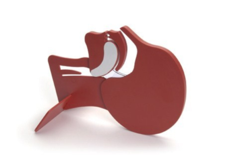Laerdal dwarsdoorsnede hoofd - 7212