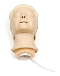 Laerdal Resusci Anne hoofd - 8320
