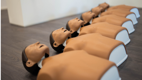laerdal little anne stackable updates